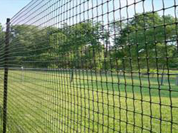 plastic deer fence
